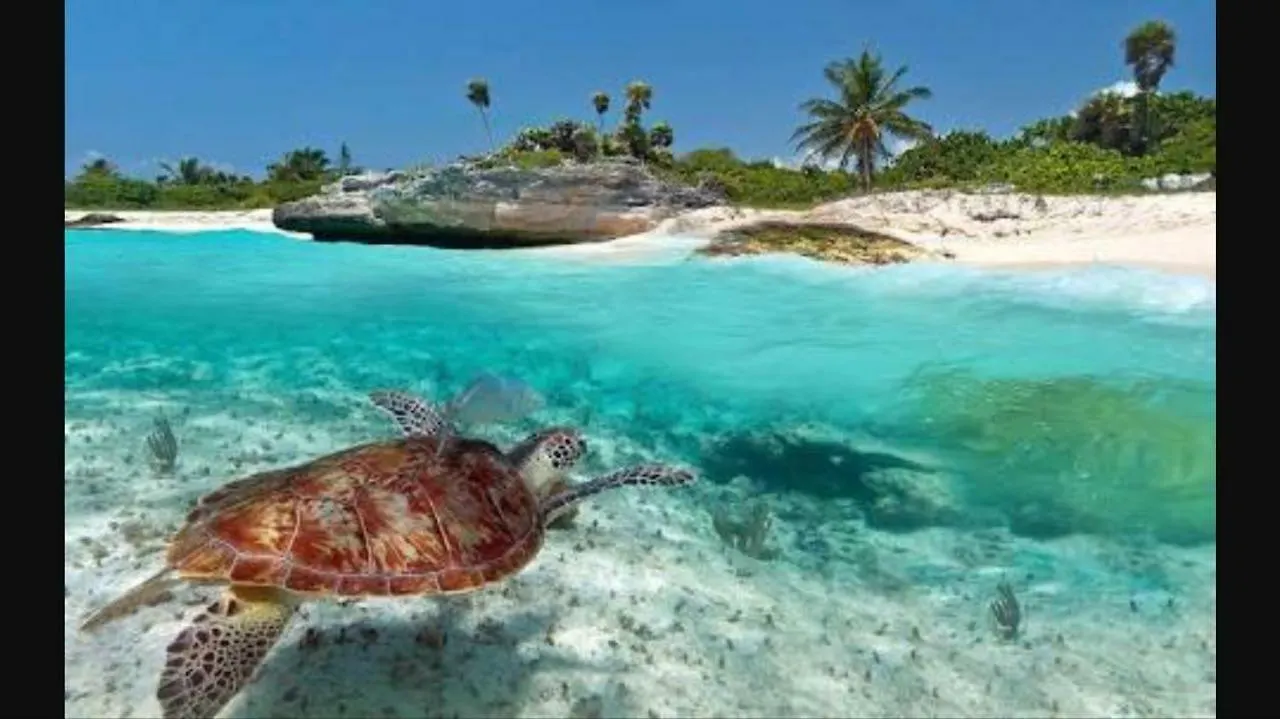 Hostal La Playita Pdc Playa del Carmen Affittacamere