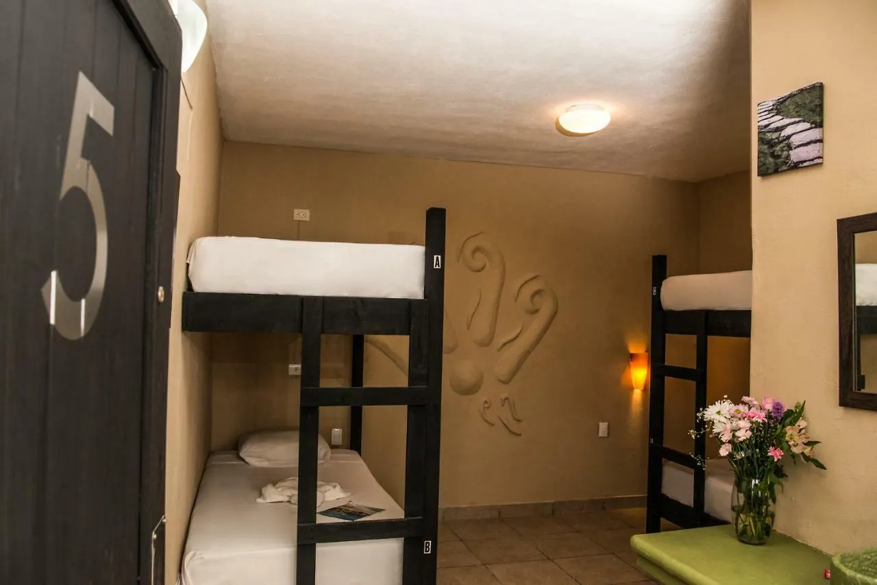 Hostal La Playita Pdc Плая-дель-Кармен
